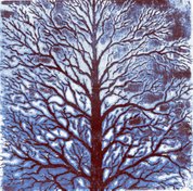 "Tree" etching 25x25cm